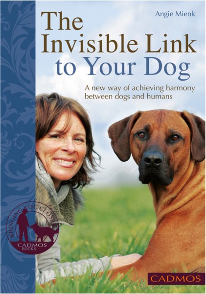 The Invisible Link to Your Dog