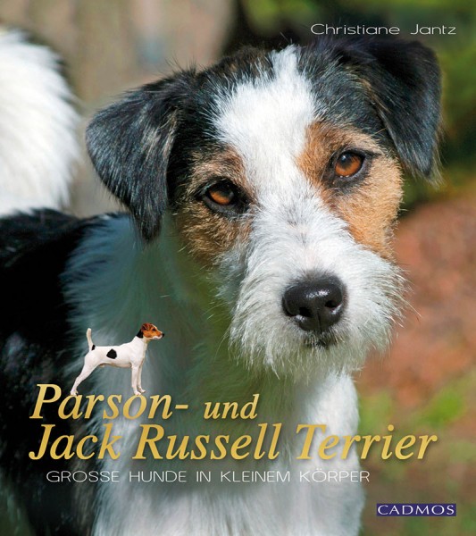 Parson- und Jack Russell Terrier