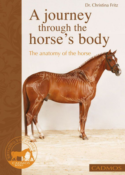 A Journey Through your Horse's Body